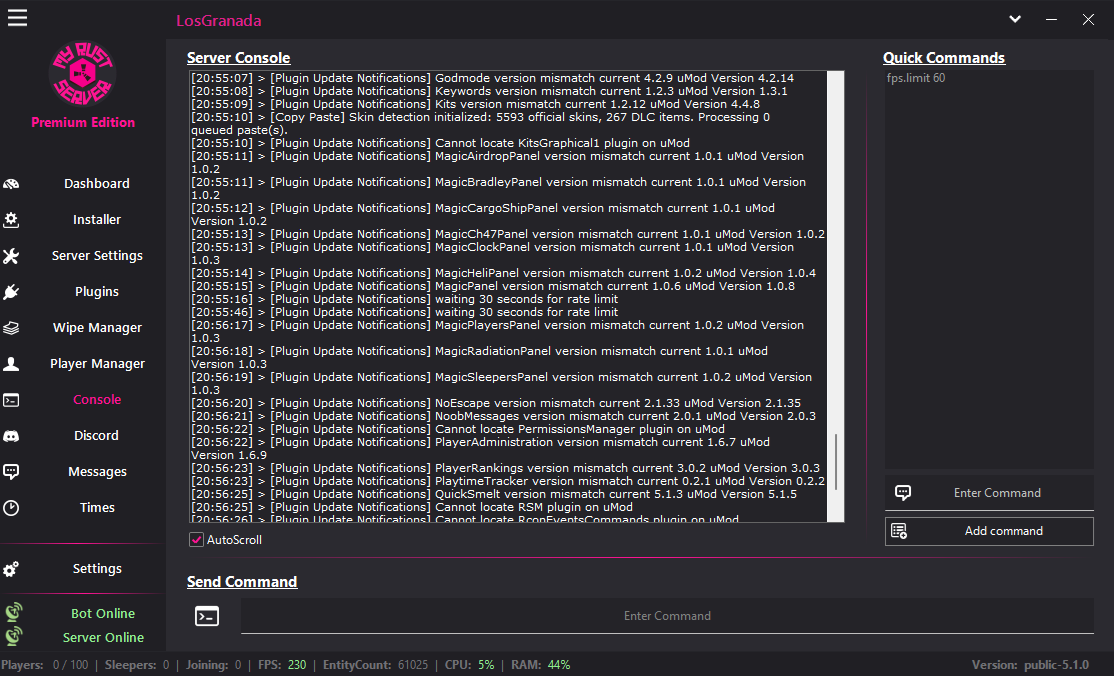 Console — MyRustServer feature screenshot
